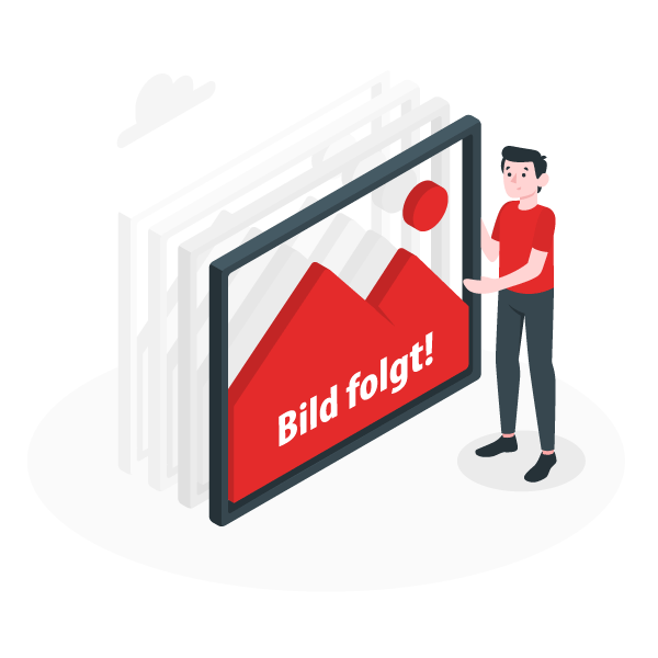 UV-Brenner für Digitaldrucker