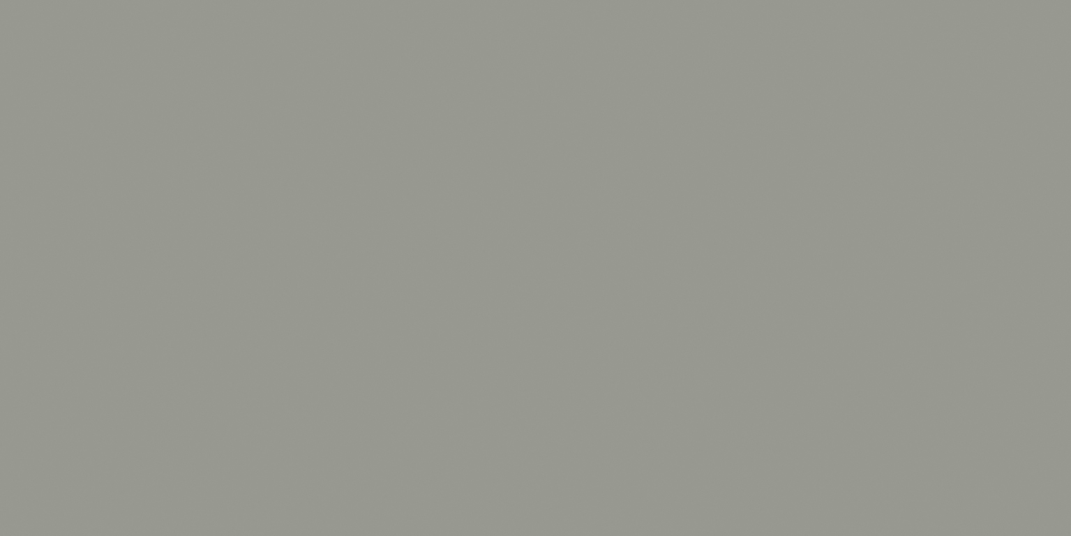 Newdeco MATT COLOUR MC-866 | signalgrau Newdeco Farben-Frikell WTB