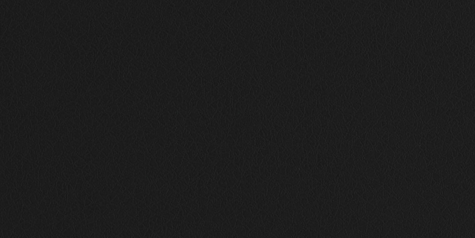 Newdeco LEATHER L-520 | schwarzes Leder Newdeco Farben-Frikell WTB